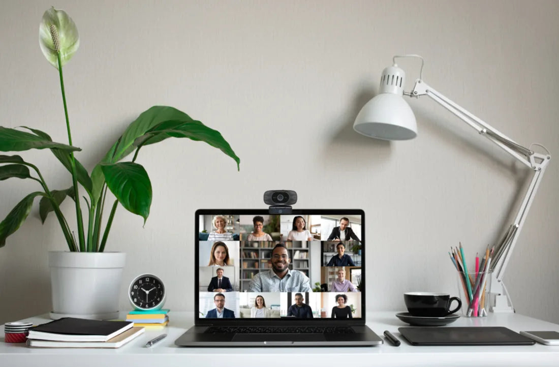 JPL Vision Mini+ Universal 1080p HD 30fps webcam